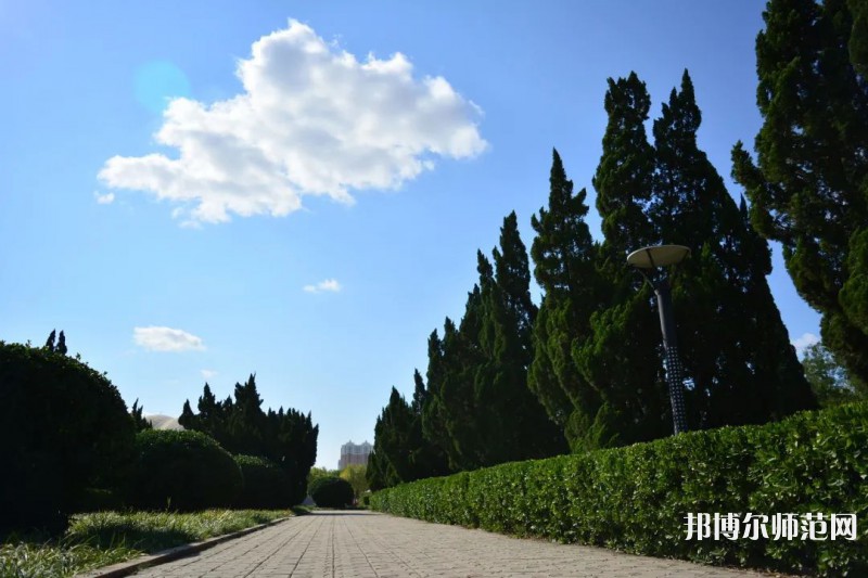 山東石油化工師范學(xué)院2023年報(bào)名條件、招生要求、招生對象 