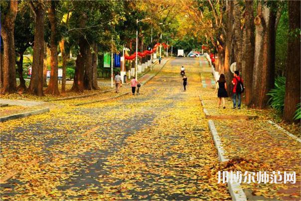 海南大學(xué)師范學(xué)院海甸校區(qū)2023年報名條件、招生要求、招生對象 