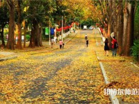 海南大學師范學院海甸校區(qū)2023年報名條件、招生要求、招生對象