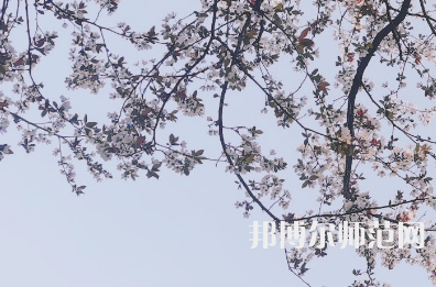 湖南第一師范學(xué)院城南書院校區(qū)2023年學(xué)費(fèi)、收費(fèi)多少