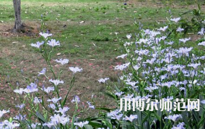 湖南第一師范學(xué)院城南書院校區(qū)2023年怎么樣、好不好