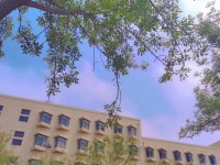 青島師范大學(xué)浮山校區(qū)2023年報(bào)名條件、招生要求、招生對(duì)象