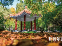 黑龍江師范大學(xué)2023年報名條件、招生要求、招生對象