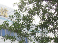 湖南師范大學(xué)樹達學(xué)院2023年怎么樣、好不好