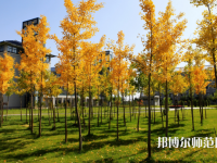 寧夏民族職業(yè)技術師范學院2023年怎么樣、好不好