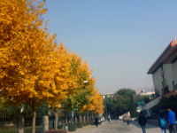 西北師范大學(xué)2023年怎么樣、好不好