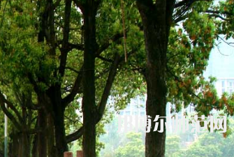 衡陽(yáng)師范學(xué)院南岳學(xué)院2023年怎么樣、好不好