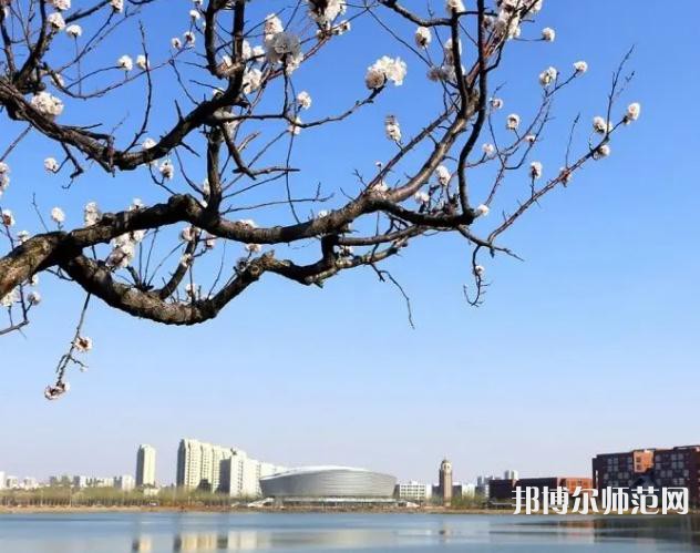 天津理工師范大學(xué)2023年報(bào)名條件、招生要求、招生對(duì)象