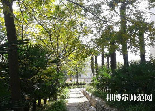 西北大學(xué)師范學(xué)院桃園校區(qū)2023年怎么樣、好不好