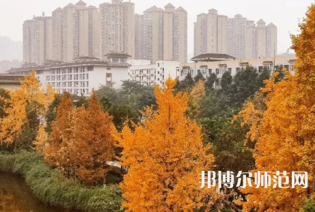雅安職業(yè)技術(shù)師范學(xué)院2023年怎么樣、好不好