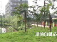 2023年瀘州天宇幼師中等職業(yè)技術(shù)學(xué)校報(bào)名條件、招生對(duì)象